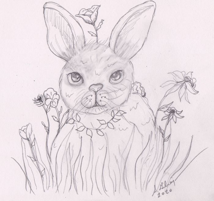Flower bunny by Sally Gilroy